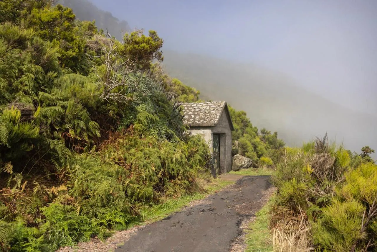Villa Acacia Arco da Calheta